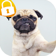 Pug Passcode Lock Screen