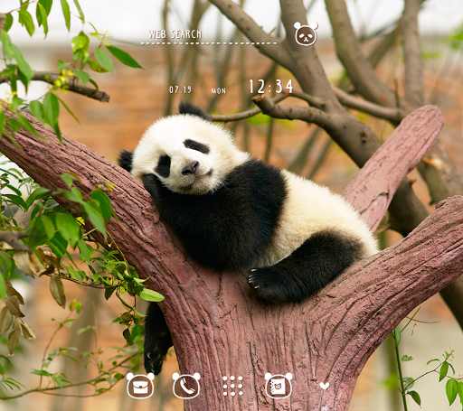 Android application Napping Panda Theme screenshort