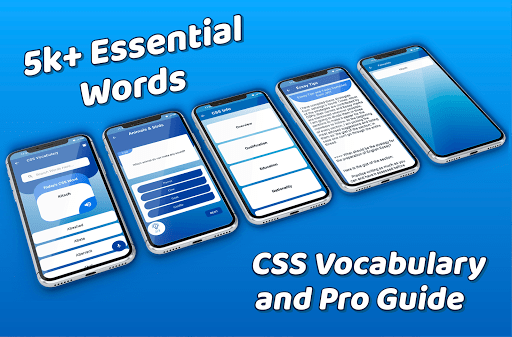 CSS Vocabulary- Pro Guide