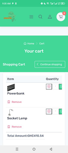 Africentre DailyFair