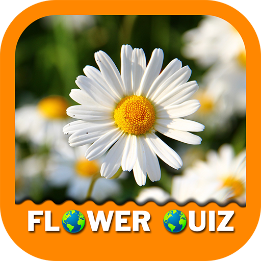 Flower Quiz Game 2022