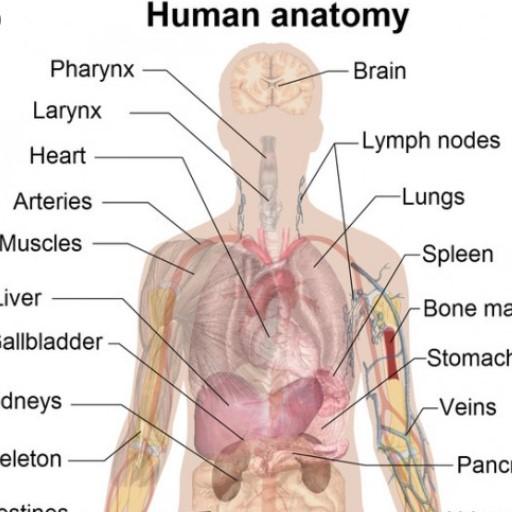 physiology and anatomy books
