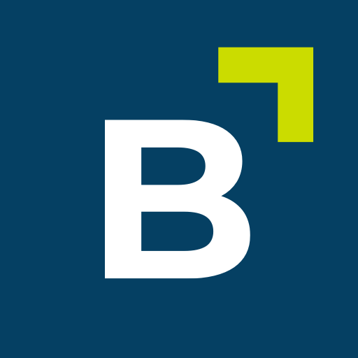 BERGFÜRST Digitale Investments logo
