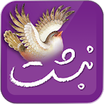 Cover Image of Télécharger نبشت (حافظ فردوسی مولانا سعدی  APK
