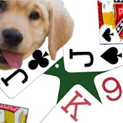K9 Euchre: Multiplayer Trick-taking Card Game