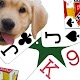 K9 Euchre