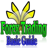 Forex Trading Basic Guide icon