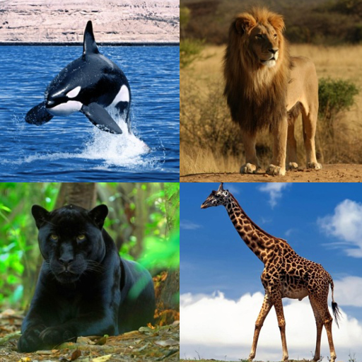 Animals name Quiz-A to Z – Apps no Google Play