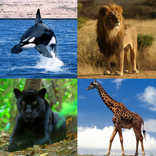 Genius Quiz Animals - Apps on Google Play