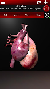 Circulatory System in 3D (Anatomy)