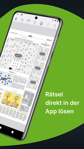 NP E-Paper Screen 3