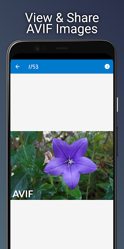 Android application AVIF Image Viewer: AVIF to PNG screenshort
