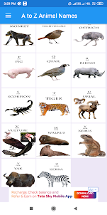 A to Z Animal Names for Kids