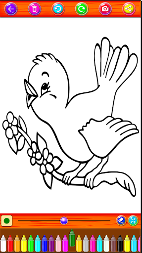 Coloring Super Bird Pages