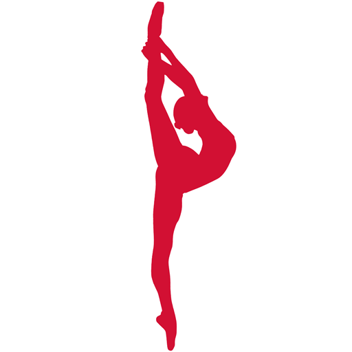 Carmel dance hotsell store