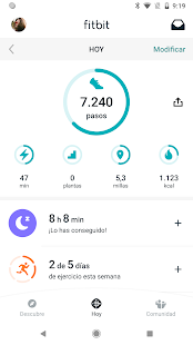 Vista previa de la aplicación