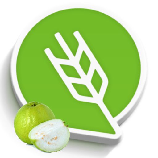 पेरू लागवड #Agrownet™ logo