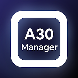 Ikoonprent A30 Manager