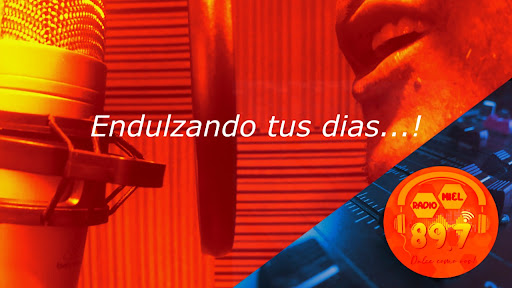 Android application Radio Miel screenshort