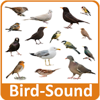 Bird Sounds