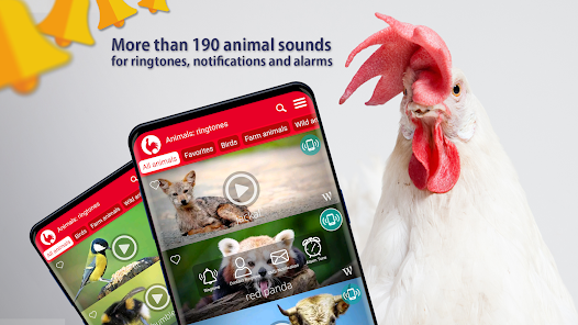 Ζώα: Ήχοι κλήσης - Εφαρμογές στο Google Play