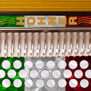 Hohner-EAD Button Accordion