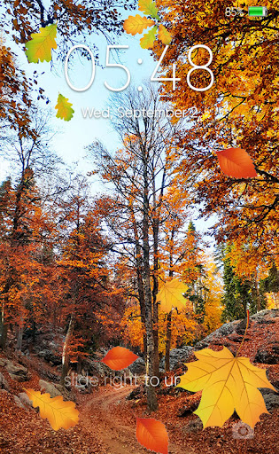 Beautiful Autumn HD 2022 Screen 2