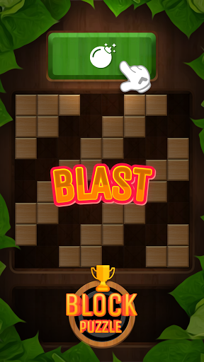 Wood Block Puzzle Blast Screen 3