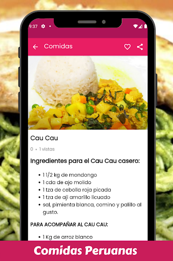 Recetas de Comidas Peruanas PE Screen 2