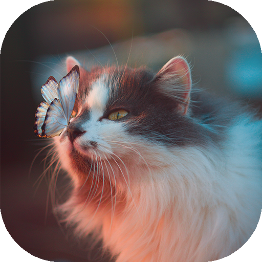 Cute Animals Wallpapers 1.0.0 Icon