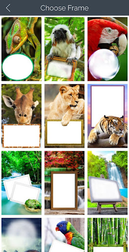Jungle Photo Frames Screenshot 1 - AppWisp.com