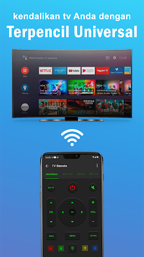 Remot tv Pintar Semua Tv screenshot 12