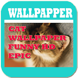 Cat Wallpaper Funny HD Special icon