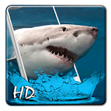 Shark Attack Live Wallpaper icon