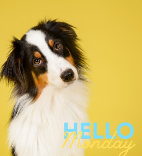 สวัสดีตอนเช้าฟรีตามวัน