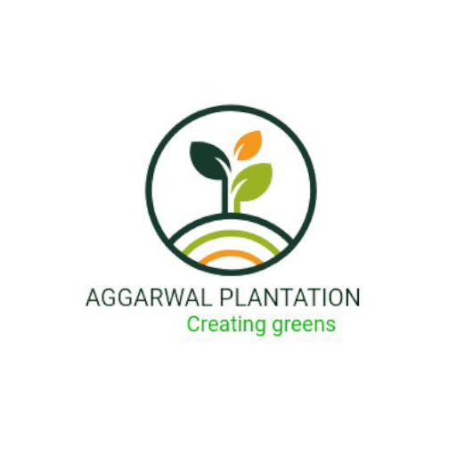 creatinggreens دانلود در ویندوز