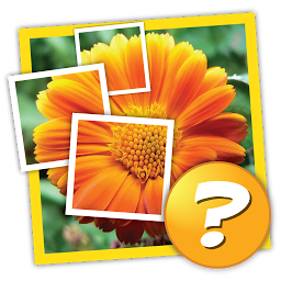 Icon image 1 Pic 1 Word: What's the word?