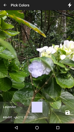 Colour Picker Color Picker