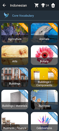Indonesian Language Tests Screen 2