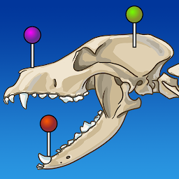 IMAIOS vet-Anatomy: Download & Review