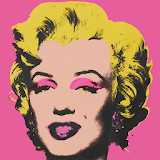 Marilyn Style Pop Art Image icon