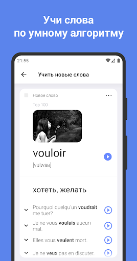 Предварительный просмотр приложения