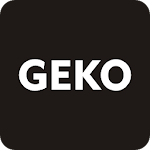 Cover Image of Download GEKO DVR  APK