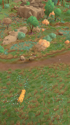Wild Life animal Screen 3