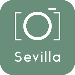 Icon image Seville Visit, Tours & Guide: 