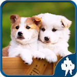 Cover Image of Download Dogs Jigsaw Puzzles  APK
