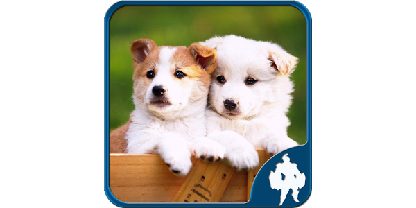 犬のジグソーパズル Google Play のアプリ