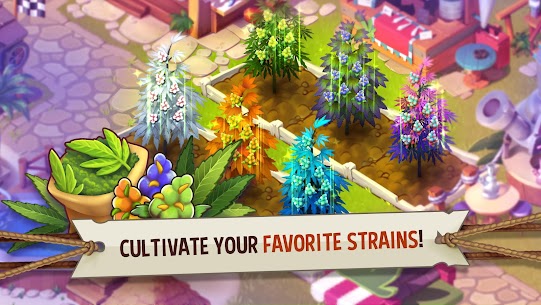 Hemp Paradise City Building v1.1.5078 MOD APK (Unlimited Money) Free For Android 2