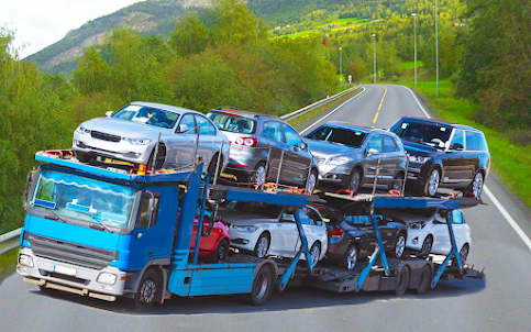 Car Transporter-Truck Games 3D