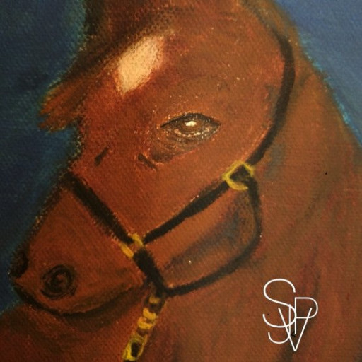 Sara Valdez logo